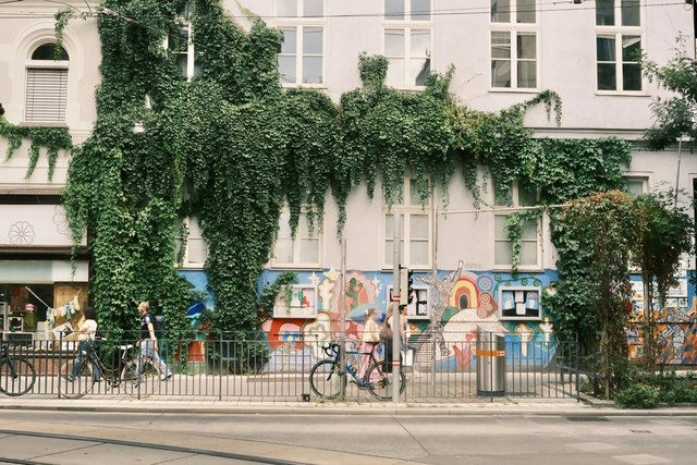 Photograph 29 by Frans Leys